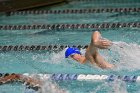 Swimming & Diving vs RWU  Swimming & Diving vs Roger Williams University. - Photo by Keith Nordstrom : Wheaton, Swimming